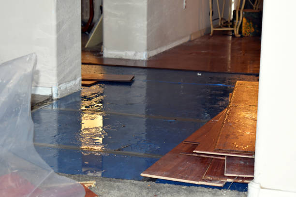 Professional Emergency Water Damage technician working in Waelder, TX